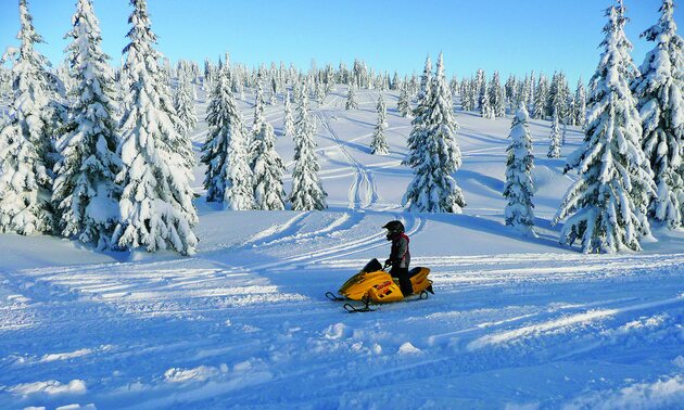 A young rider on a groomed trail through snowy trees near Sicamous